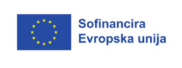 Cofinanziato dall'Unione europea